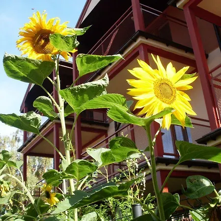 Homestay Florek Dziwnow