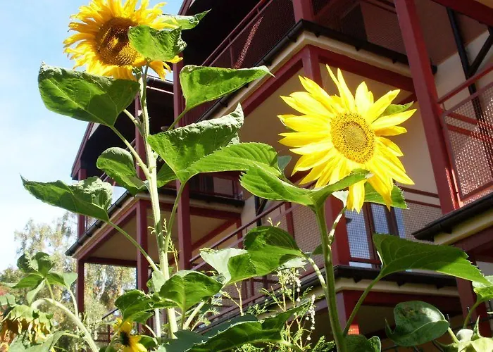 Pansiyon Florek Dziwnów